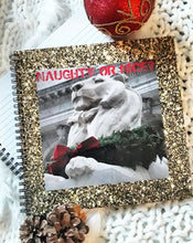 Load image into Gallery viewer, Naughty or Nice.