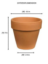 Load image into Gallery viewer, Honey Bee Planter