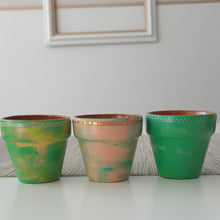 Load image into Gallery viewer, Cali Cool Succulent Set