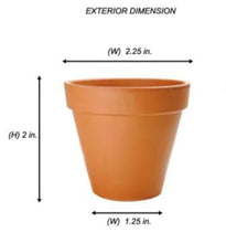 Load image into Gallery viewer, Chip Ahoy Mate Succulent Pot