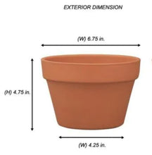 Load image into Gallery viewer, Garrett's Vintage Santa Planter