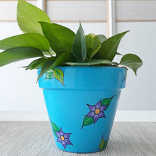 Load image into Gallery viewer, African Violet Planter