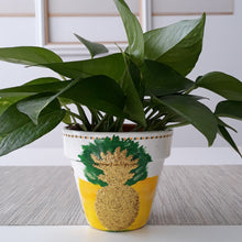 Load image into Gallery viewer, Pineapple Express Planter
