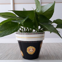Load image into Gallery viewer, All Smiles Planter

