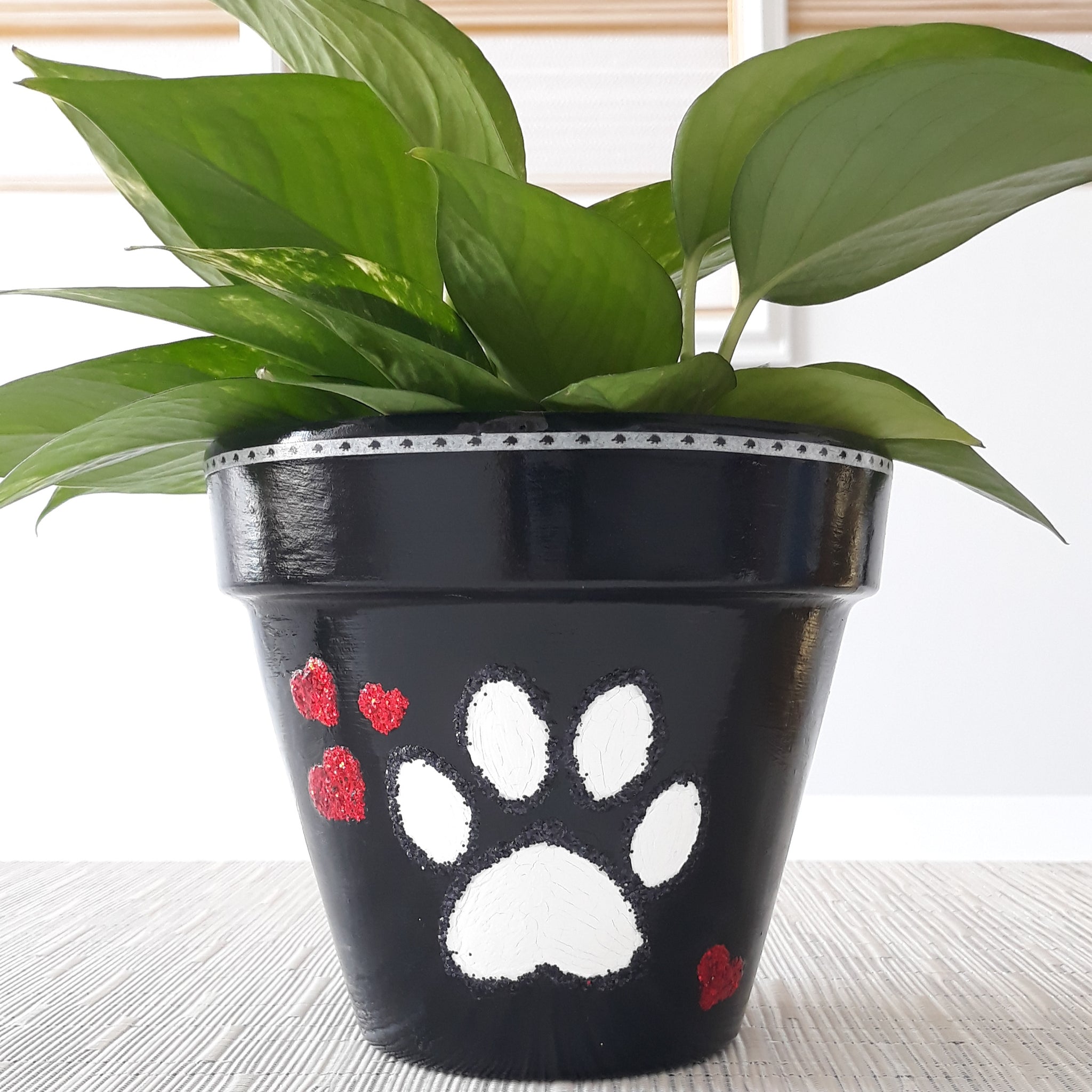 paw print plant pot Furry Friends