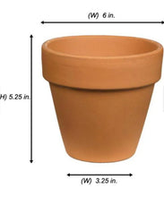Load image into Gallery viewer, The 80's Planter
