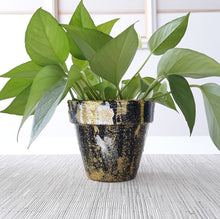 Load image into Gallery viewer, Studio 54 Planter
