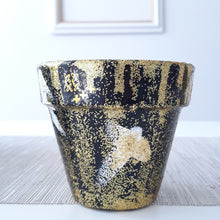 Load image into Gallery viewer, Studio 54 Planter

